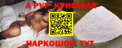 стаф Кунгур